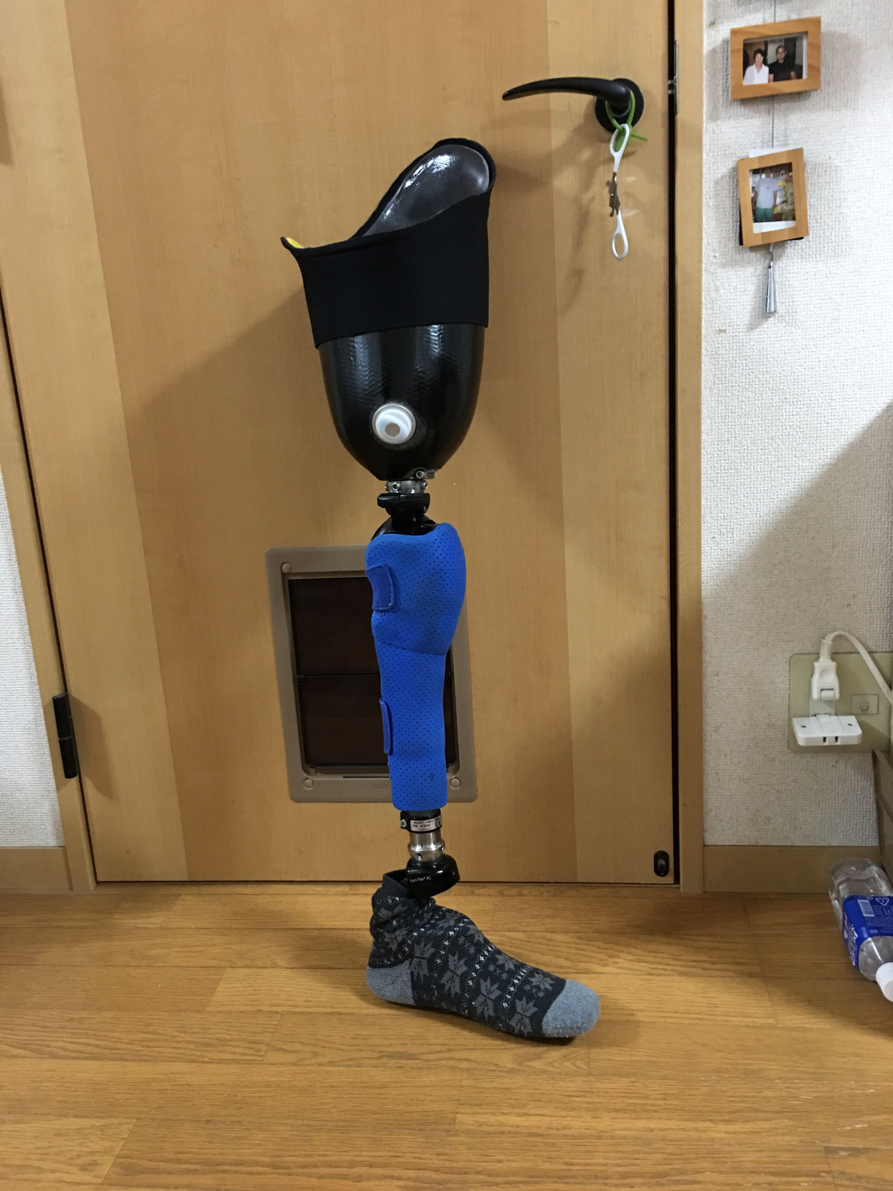 帰ってきた ????